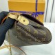 Louis Vuitton Favorite MM Bag Monogram Canvas M40718 High