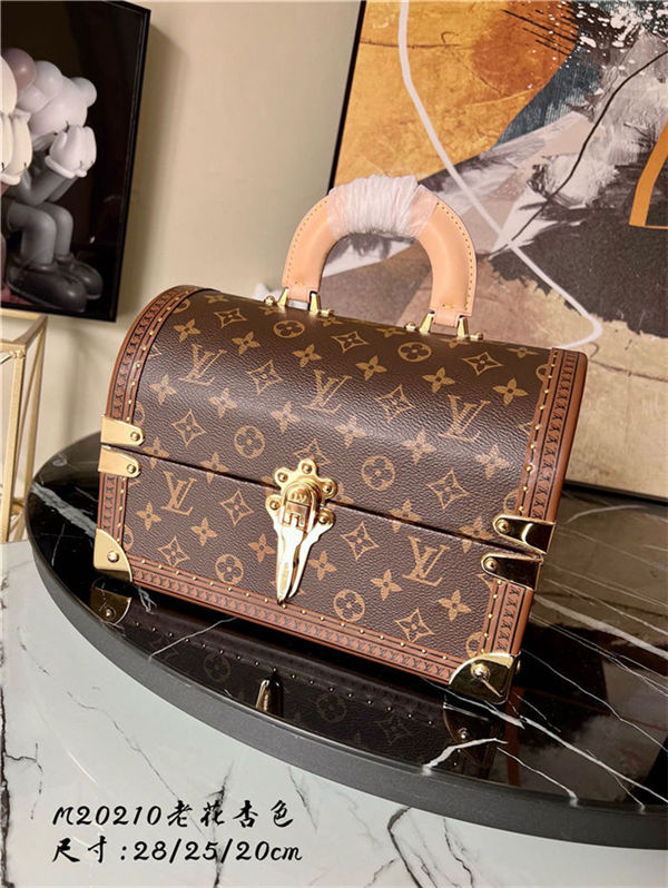 Louis Vuitton COTTEVILLE BOX CASE M20210 Monogram High