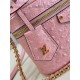 Louis Vuitton Vanity Chain Pouch Ostrich leather N85820 High