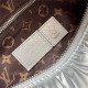 Louis Vuitton Speedy Bandouliere 25 Econyl M20973 High