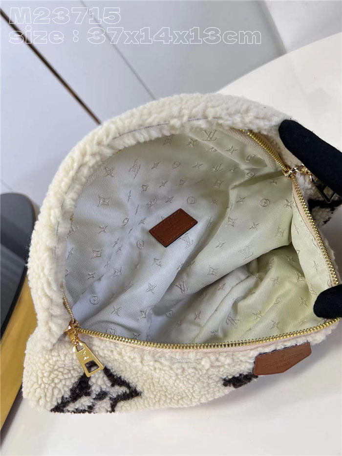 Louis Vuitton Bumbag Shearling M23715 High