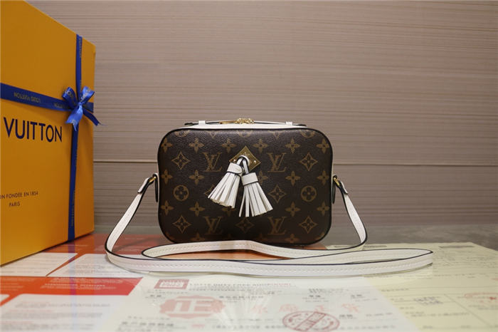 Louis Vuitton Saintonge Bag Monogram White