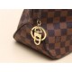 Louis Vuitton Delightful MM Bag Damier Ebene