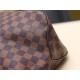 Louis Vuitton Delightful MM Bag Damier Ebene