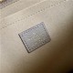 Louis Vuitton DAILY POUCH Monogram Beige High