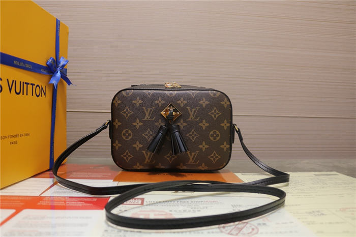 Louis Vuitton Black Saintonge Bag Monogram M43555