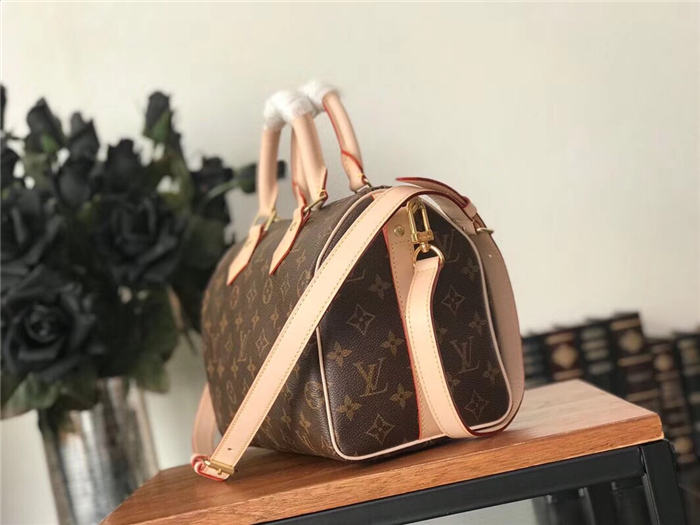 Louis Vuitton Speedy Bandouliere 25 Bag Monogram M41113